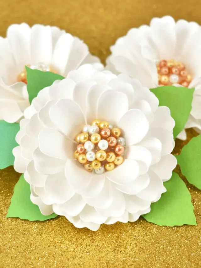 Three pearl centered dahlias against a gold glitter background