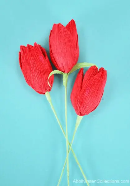 3D red tulip flowers made from crepe paper. Download the tulip templates.