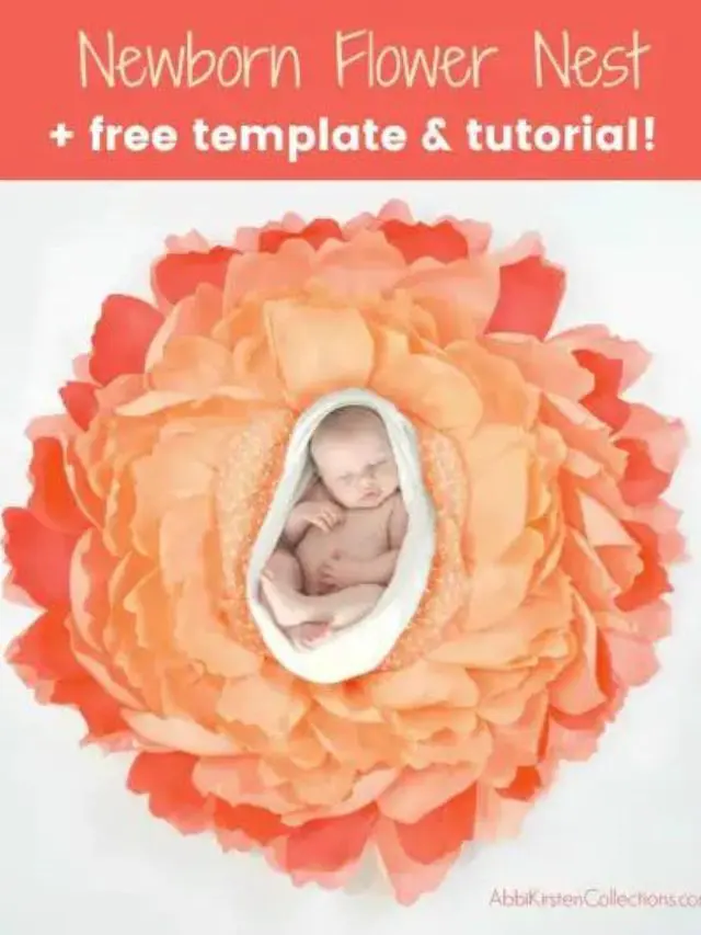 A baby wrapped in muslin and laid in the middle of a giant paper flower.