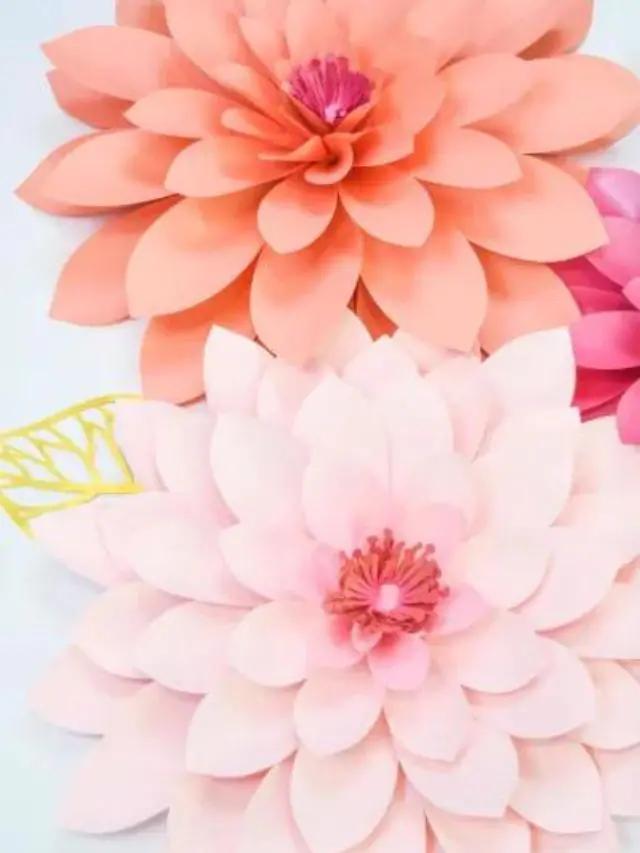 Two giant paper dahlias in soft pink and coral colors, against a white background.