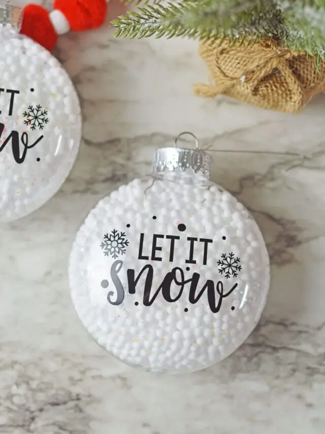 2letitsnow6