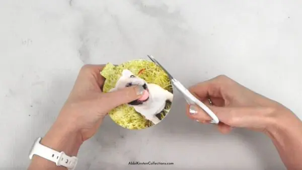 Ornament photo cut out being trimmed down to size