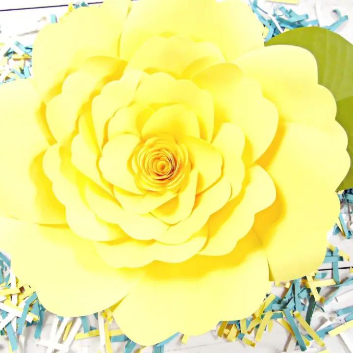 A giant yellow Charlotte style paper rose.
