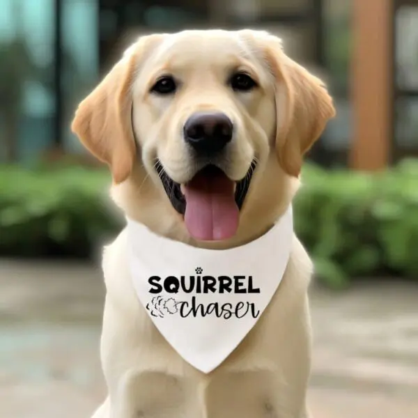 Lab retriever dog wearing free SVG bandanna with text Squirrel Chaser.