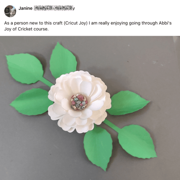 Joy of Cricut Reviews