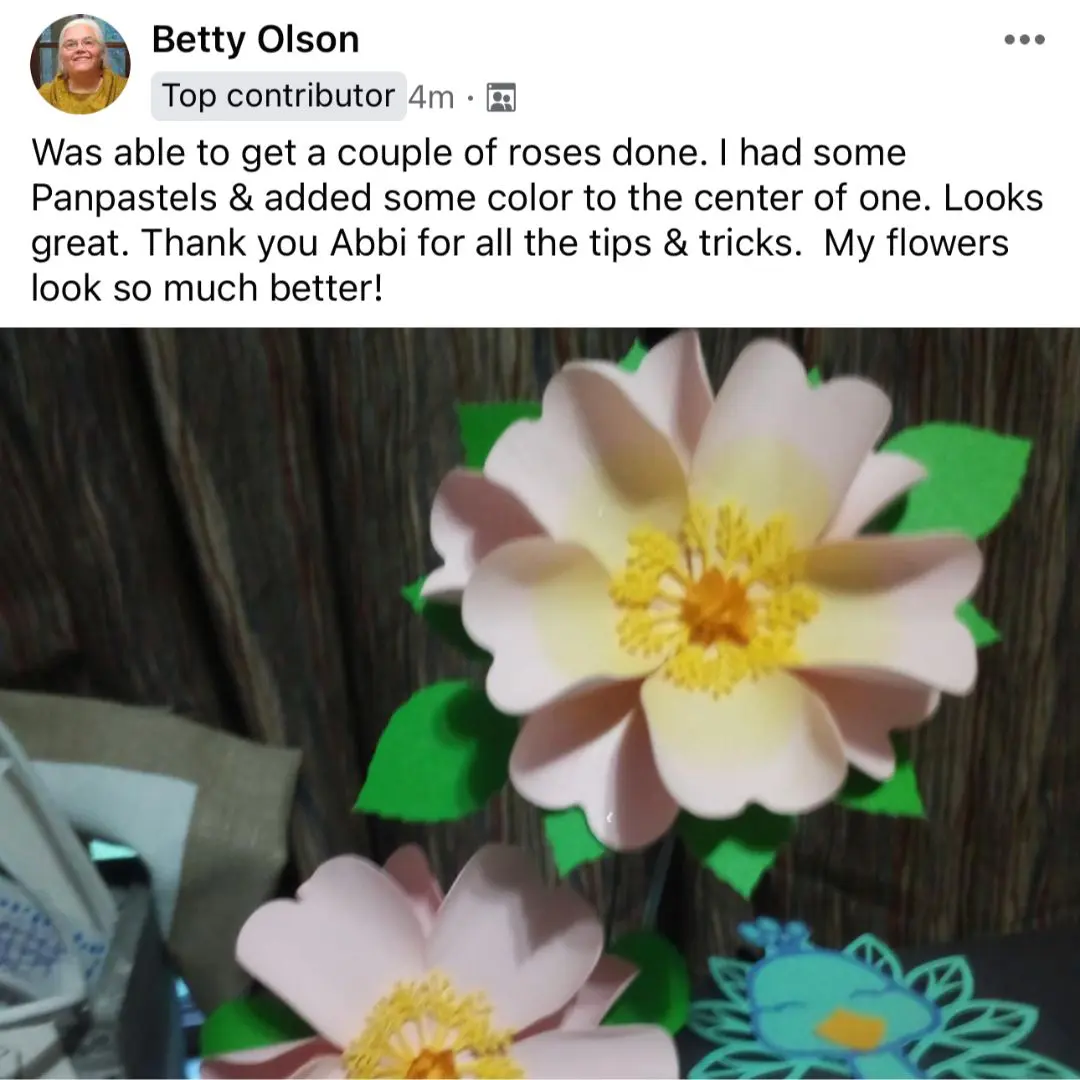paper flowerfest reviews