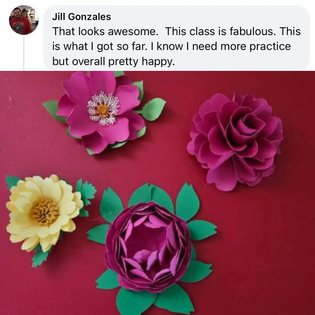 paper flowerfest reviews