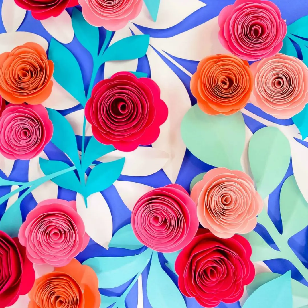 Paper flower rolled rosettes