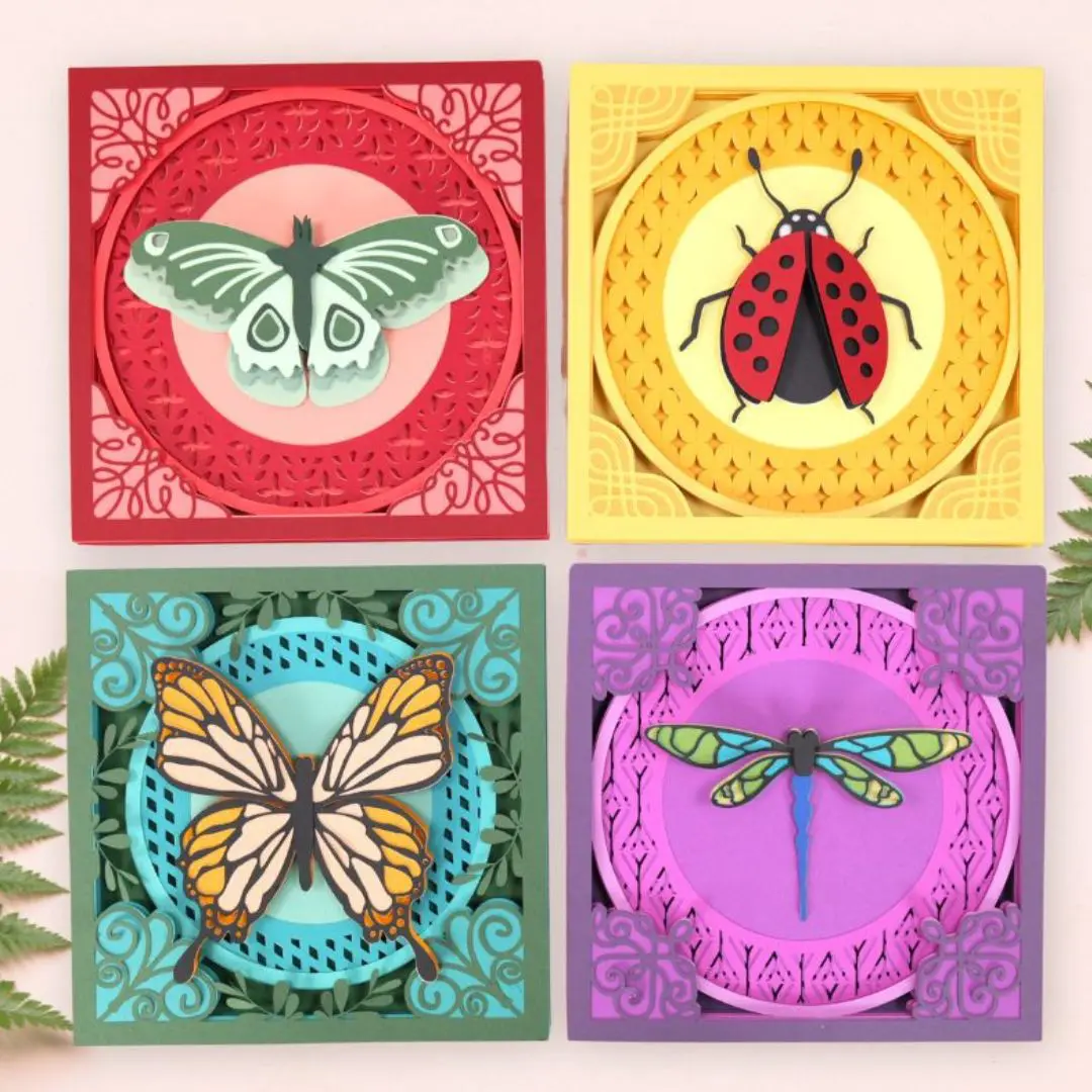 bugs and butterfly shadow box designs