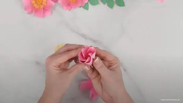 overlapping wild rose flower petals