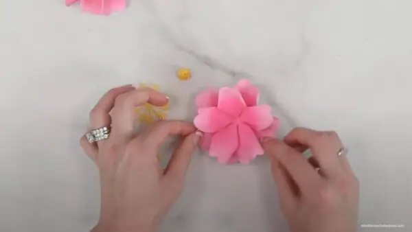 layering wild rose flower petals