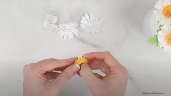 rolling center strips for mini daisy