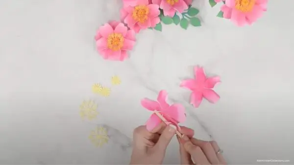 curling pink wild rose petals with wood dowel