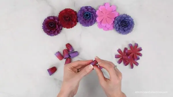 pinching and twisting a dahlia petal