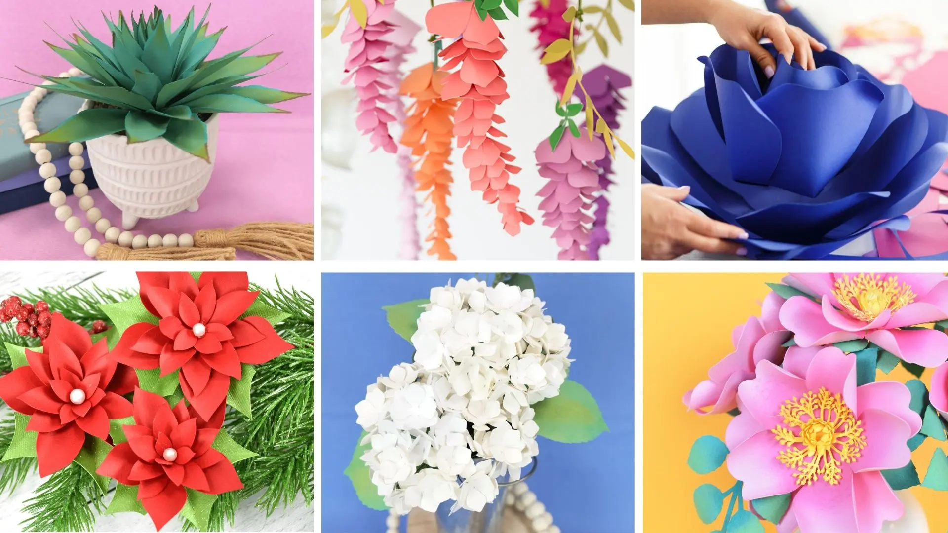 paper flower college