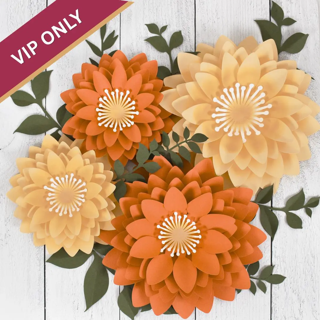 bonuses flowerfest 20264