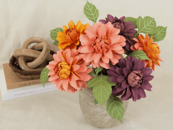 dahlia