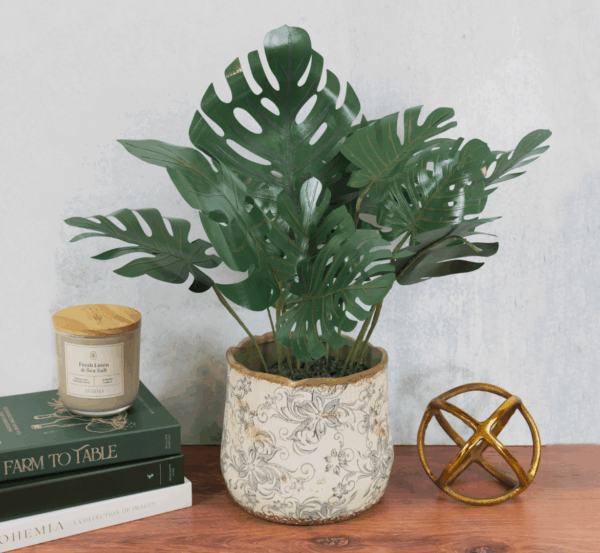 monstera