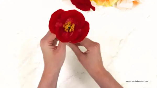 holding a complete red paper poppy