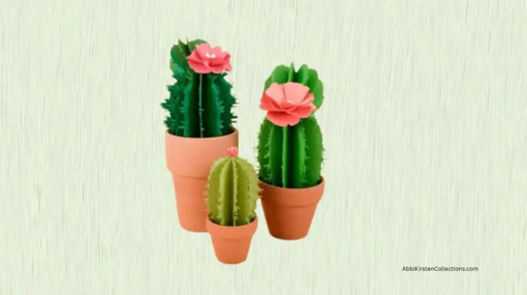 3 paper cacti in terracota pots