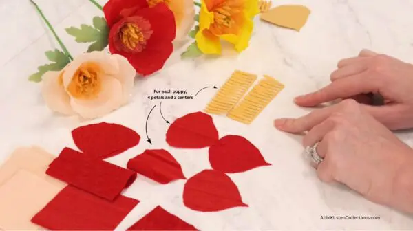 noting petals and centers count