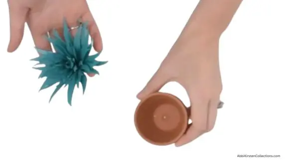 aloe vera and terracotta pot