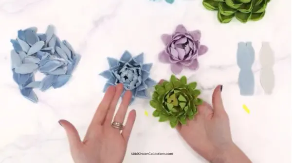 3 succulent flowers in green, blue, and purple