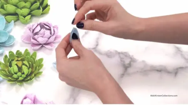 curving succulent petal with fingers