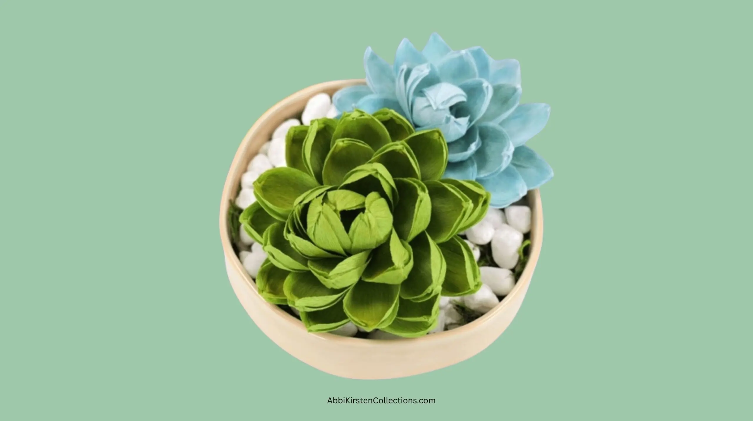 display of blue and green paper succulent flower plants