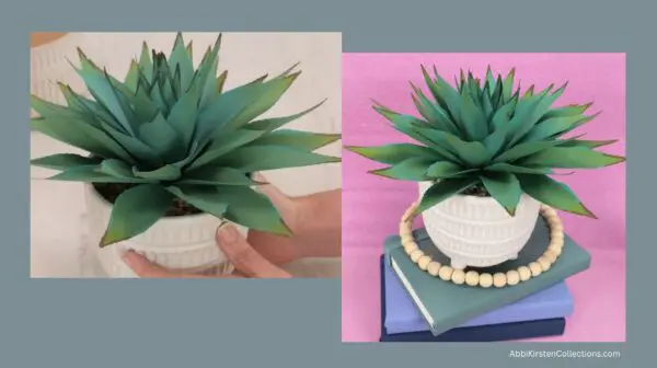 display of 2 paper agave pants in containers