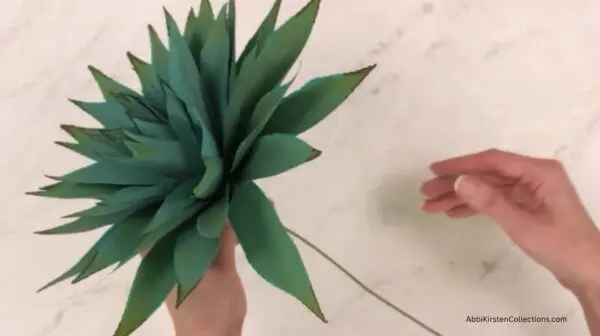 adding agave leaf layers