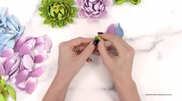 shaping the green petals