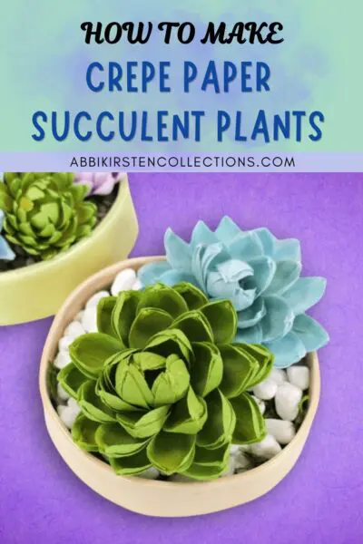 blue and green paper succulent plants