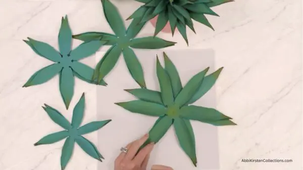 cut out agave templates