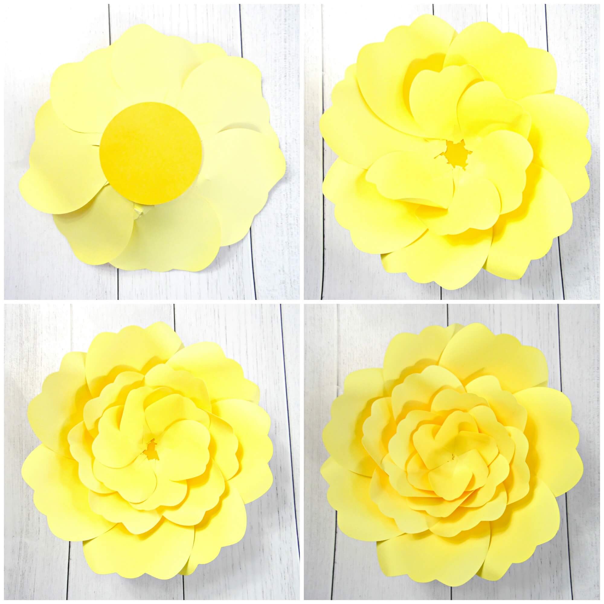 Four collaged images showing the process of making a giant yellow Charlotte rose paper flower. The top left image shows the base of the flower, and the other three images show the flower after adding layers of petals.