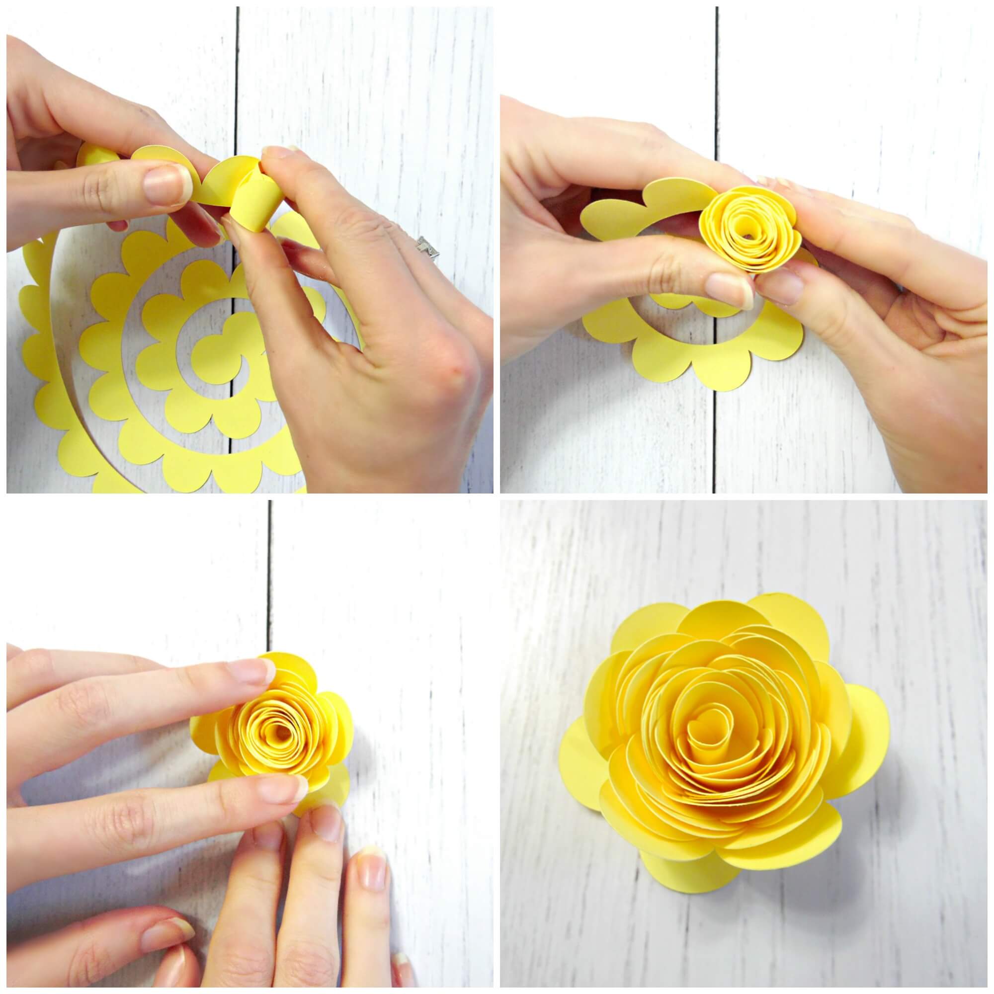 A collage of four images showing a woman rolling a strand of yellow paper to create a small rosette, which will be the center of the Charlotte rose.