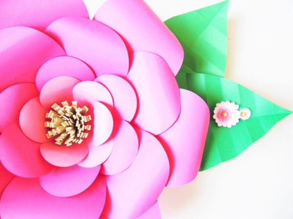 DIY giant paper flowers. 