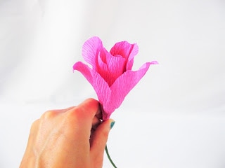 A different angle shows the crepe paper rose and stem in Abbi's hand is only partially completed when the medium-sized petals have been added. 