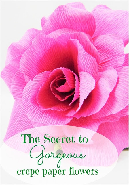 Green text at the bottom of a close-up of a pink crepe paper rose reads, "The secret to gorgeous crepe paper flowers." 
