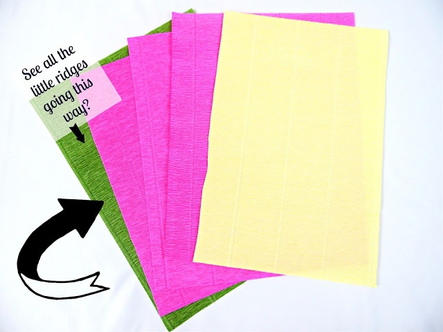 A fanned-out stack of crepe paper sheets lay on a white backdrop. A black arrow points to the left-to-right ridges along the crepe paper. The text reads, "See all the little ridges going this way?"