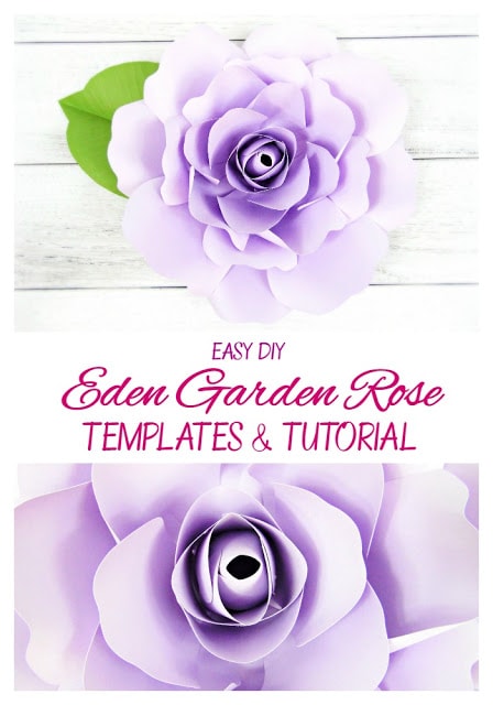 Easy DIY paper flower Eden style rose with templates and full video tutorial. 