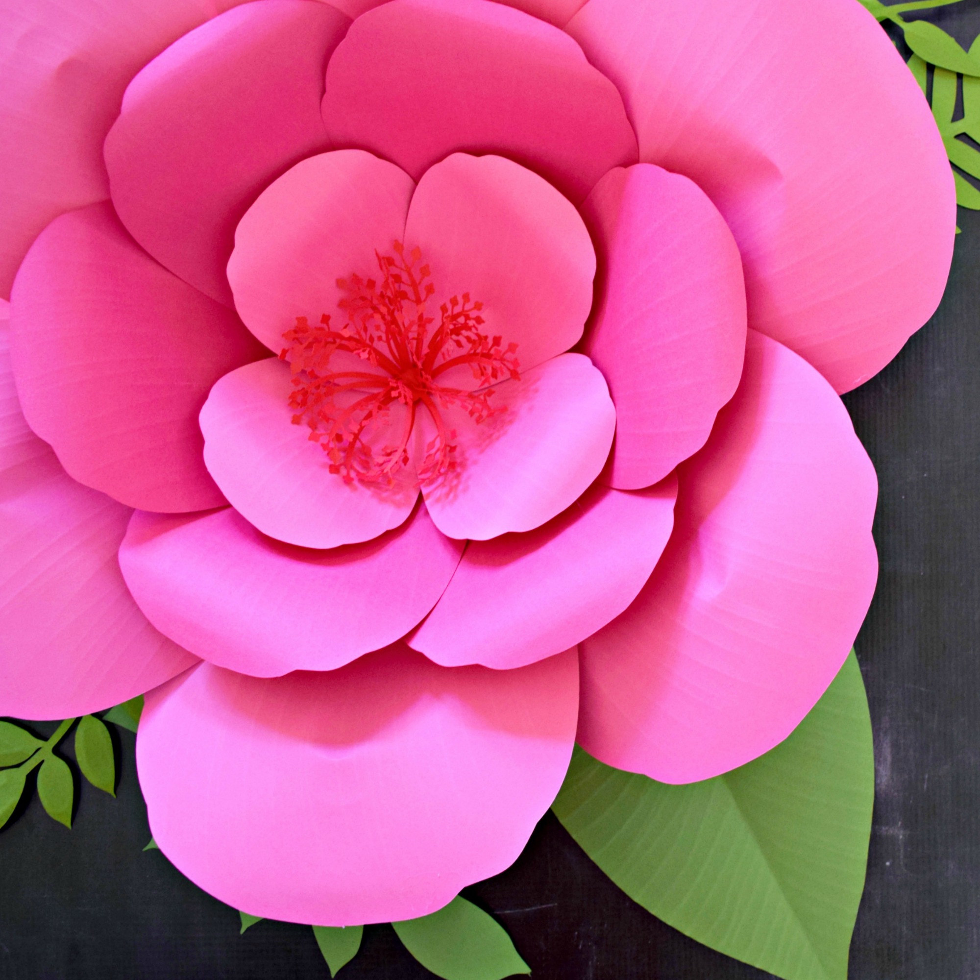 Giant Hibiscus Paper Flower Tutorial