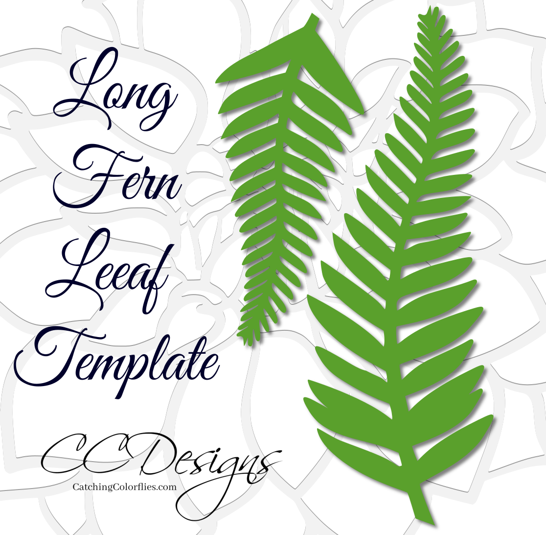 Fern leaf paper vine