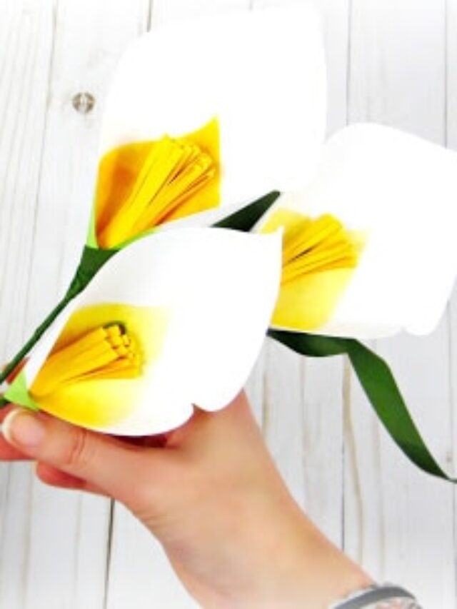 Calla Lilies: The Perfect Spring Time Welcome Story