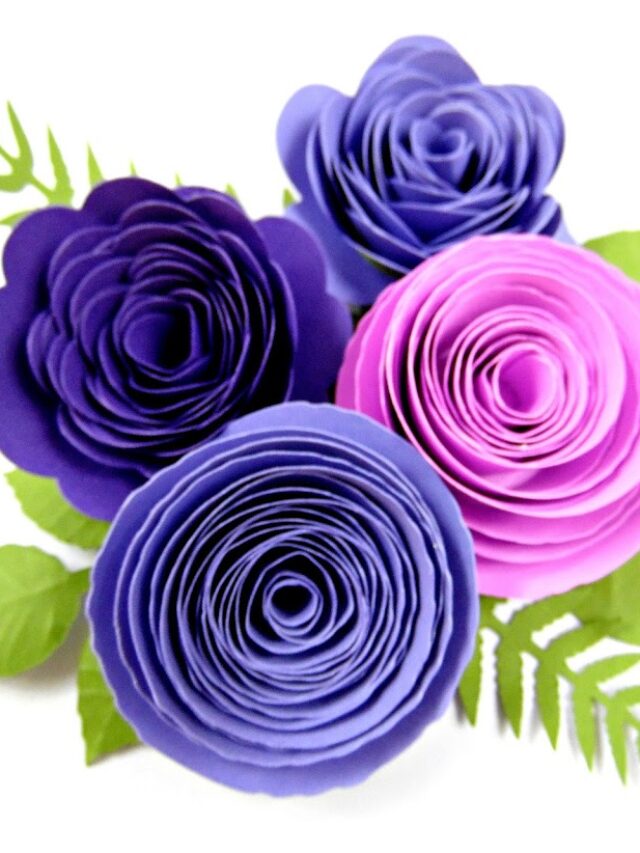 cropped-rosette-2B1.jpg