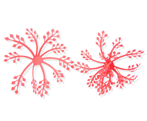 Download Hibiscus Giant Paper Flower Tutorial