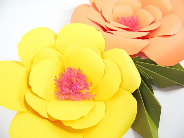 A close-up of two yellow and orange giant hibiscus flowers with pink centers and green leaves.