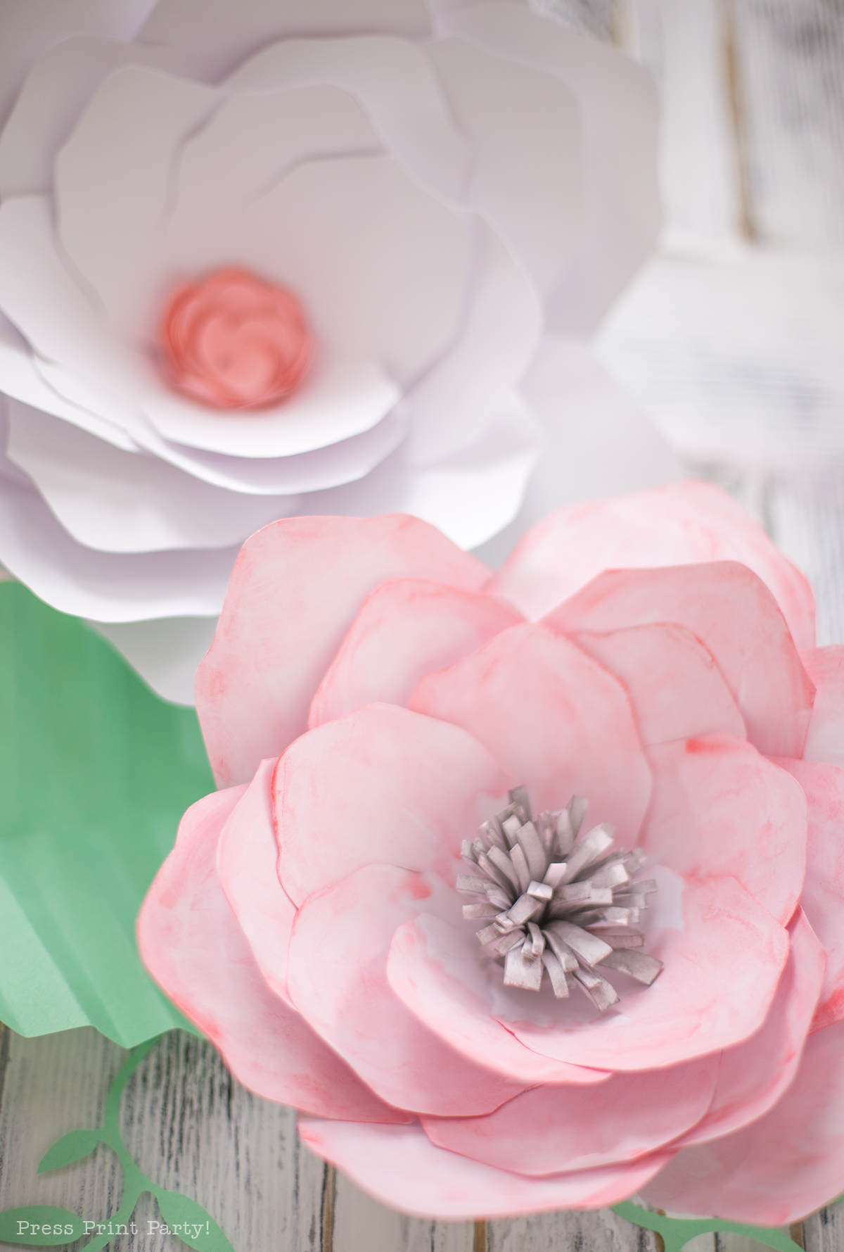 A closeup overhead view of two large paper flowers used to decorate a baby shower. One flower is pink, and the other is white and includes paper greenery. The templates for these paper flowers can be found on catchingcolorflies.com. 