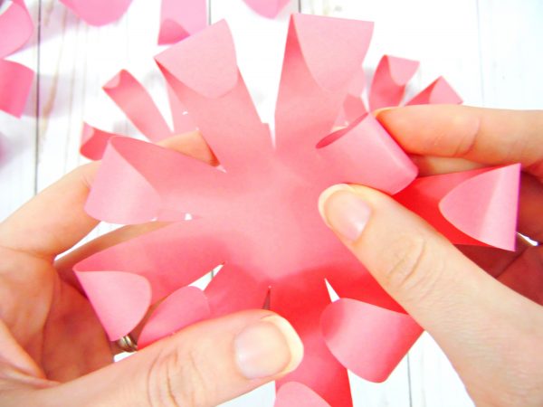 Abbi uses her fingers to give the paper Chrysanthemum Flower petals a deeper curlm rolling the edges of the petals inwards towards the center of the flower.