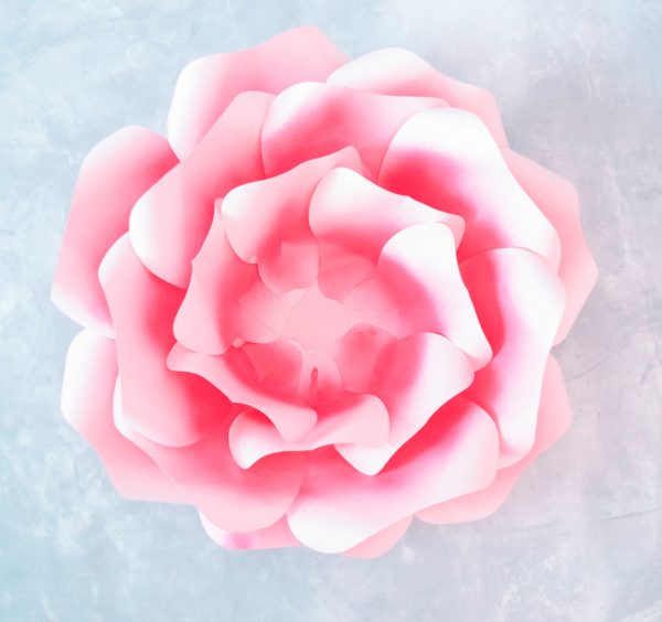 Seven large pink ombre rose petals have been placed on top of the prior two layers of petals, creating an open and blooming flower base. 